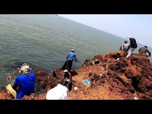 ഏരിയും ചെമ്പല്ലിയും100%റിസൾട്ട്‌ ഉള്ള ബൈറ്റ്Village Fishing, Traditional Fishing,Kerala Fishingtips