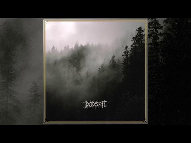 Dödsrit (Dodsrit) - s/t LP FULL ALBUM (2017 - Black Metal / Crust Punk)