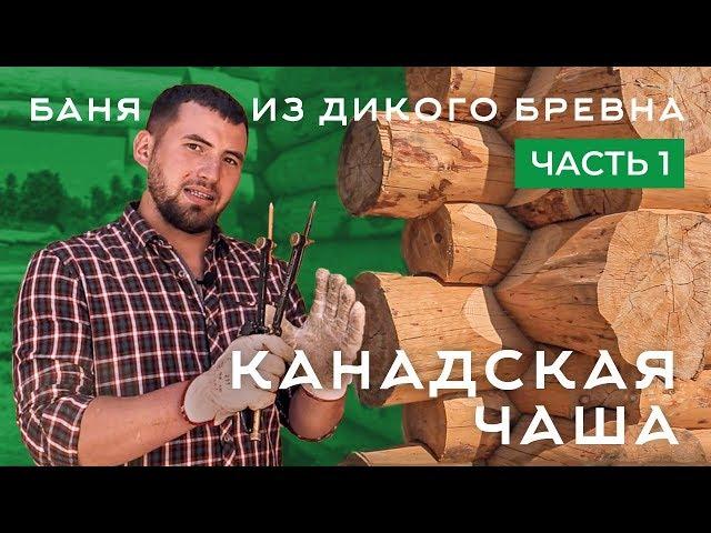 Канадская рубка, saddle notch, баня из дикого бревна