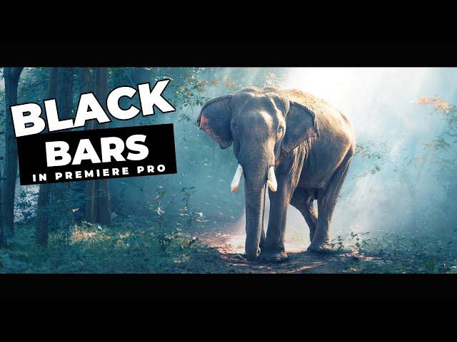 How To Add Cinematic Black Bars To A Video In Premiere Pro 2022