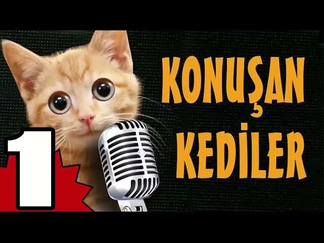 Konuşan Kediler 1 - En Komik Kedi Videoları