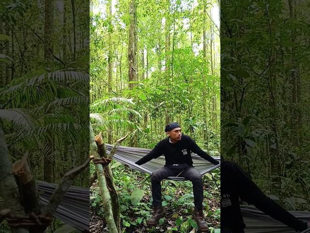 Anugrah alam Indonesia #survivalalam #hiking #nature #trending