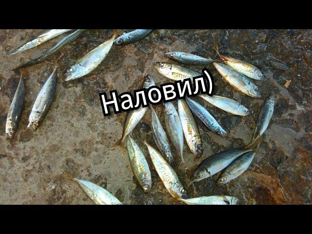 Самодур или пилькер на что лучше ловить саргана и ставриду/ fishing in the Black sea,Ukrane Odessa