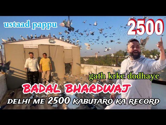 2500 kabutar badal bhai ka shok  ustaad pappu ne gath krke dodhaye  delhi ki kabutarbazi