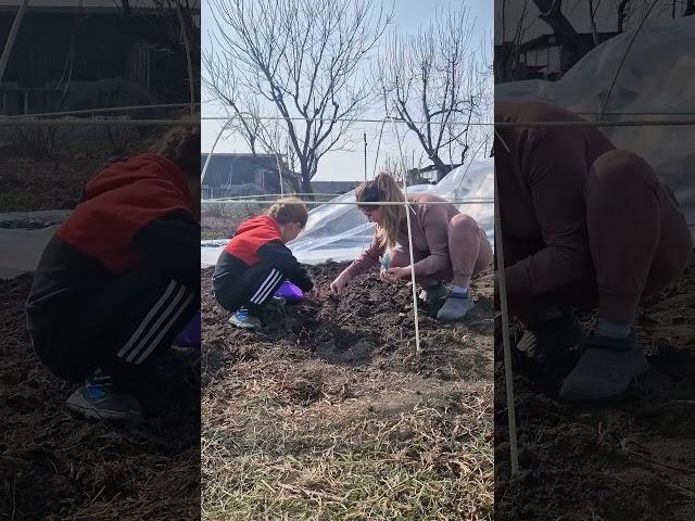 #парниксвоїмируками #композитнаарматура #село #жизньвселе #життявселі