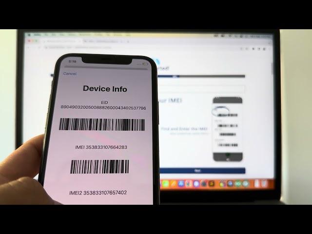 Remove the Carrier Lock on your iOS Device without Software