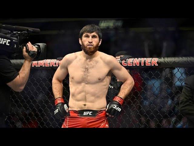 TOP MAGOMED ANKALAEV FINISHES #ufc #mma #ufc308 #mmafighter