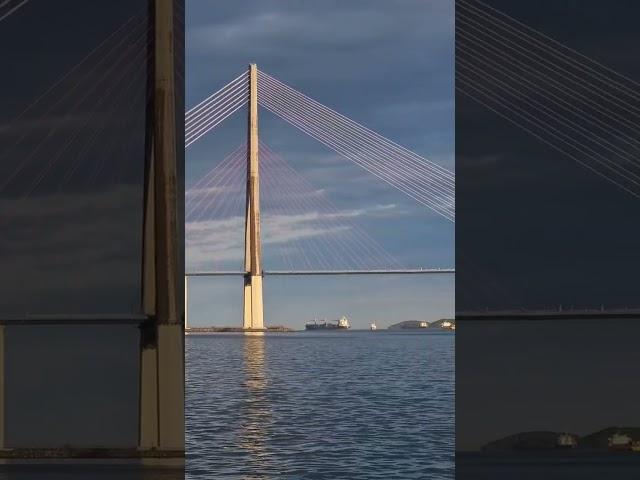 Русский мост, Владивосток. #БлогВладивосток