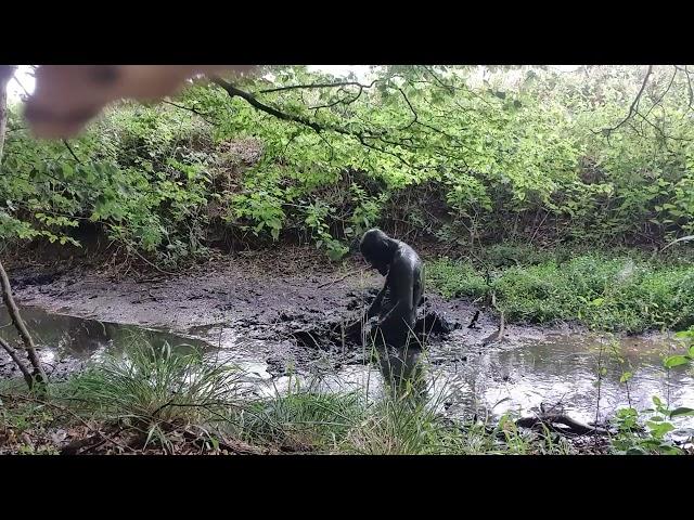 More latex and mud in the new mud spot.