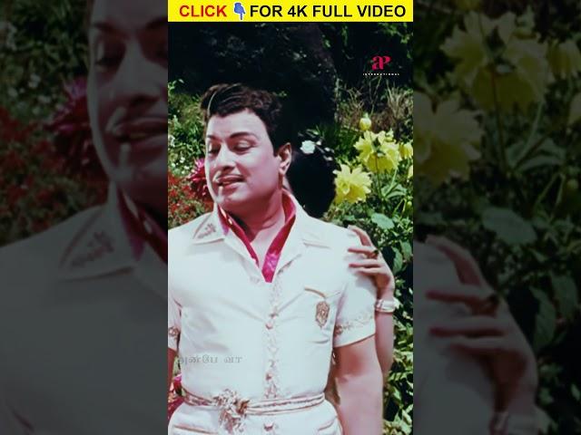 Watch full video Rajaavin Paarvai from #anbevaa #rajaavinpaarvai #mgr #msv #tms #psusheela #shorts
