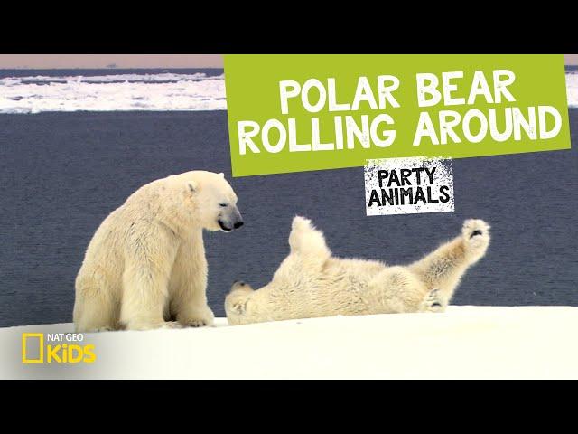 Polar Bear Rolling Around feat. Parry Gripp (Music Video) | Party Animals