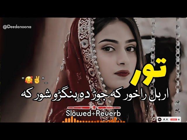 Tor Orbal Ra Khor Ka Jor Da Bangro Shor Ka  ( Slowed And Reverb ) Pashto New Song - Deedanoona