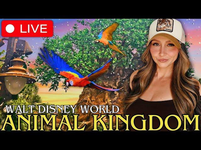  LIVE | A Beautiful Afternoon at Disney's Animal Kingdom | What's NEW? Merch, Snacks and More!