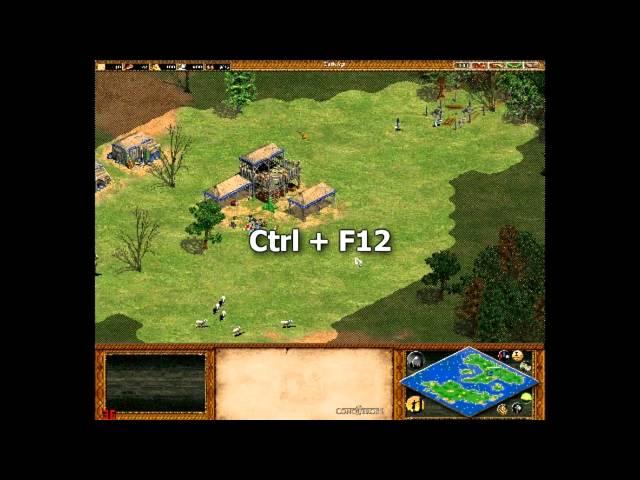 Age of Empires II - Tutorial - Tips & Tricks - Full Map Screenshot