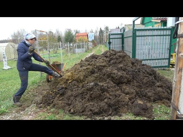 6 соток 12 октября 2024 года. Хроника.