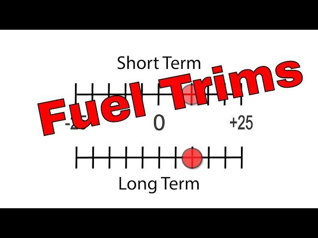 Understanding the basics about fuel trims