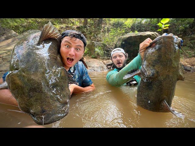 CATFISH Noodling For RIVER MONSTERS w/ Ayo Fishing (First Time!)