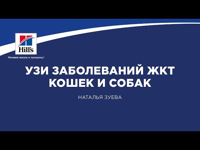 Вебинар на тему: "УЗ диагностика заболеваний ЖКТ кошек и собак". Лектор – Наталья Зуева.