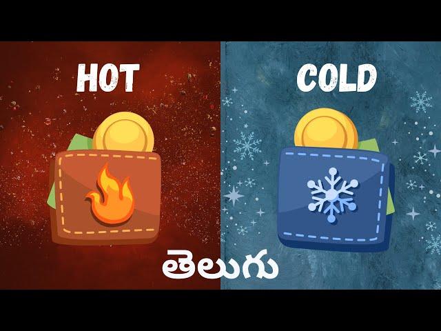 Hot Wallet vs Cold Wallet Explained in Telugu