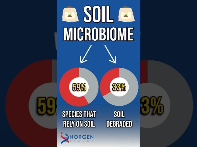 Soil Microbiome: The Hidden Ecosystem Keeping Us Alive! 