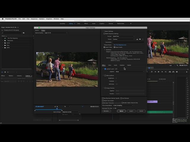 Premiere Pro CC 106: Exporting - 11. Adding LUTs to Your Exports