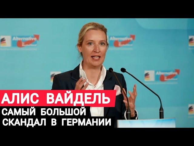 Германия Алис Вайдель, скандал о тайной встрече AfD. Реэмиграция миллионов беженцев