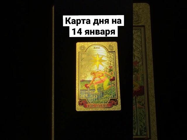 14 января 2023 г. #таро #tarot #картадня