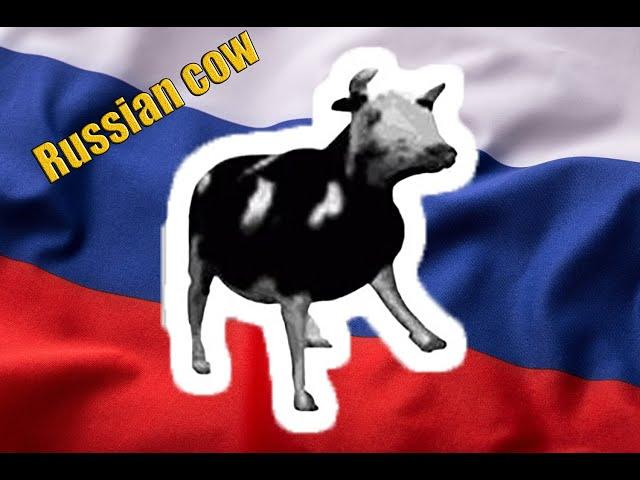 Польская корова - русская версия (Polish cow - russian edition)