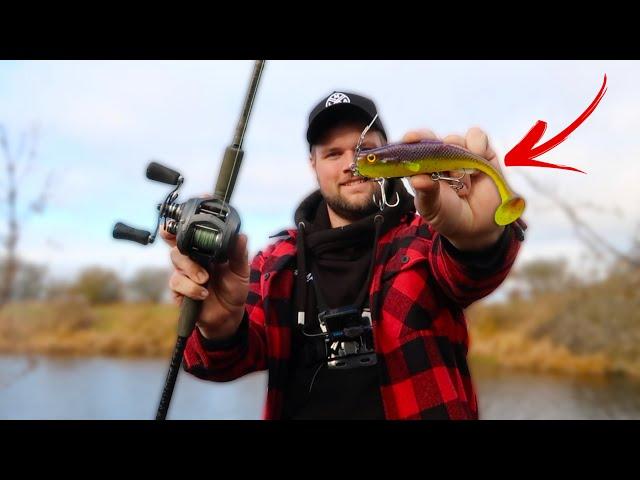 How to work Big Shads and Swimbaits when Pike Fishing