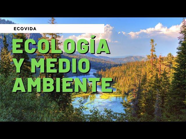 ECOLOGÍA y MEDIO AMBIENTE (VIDEO EDUCATIVO) 