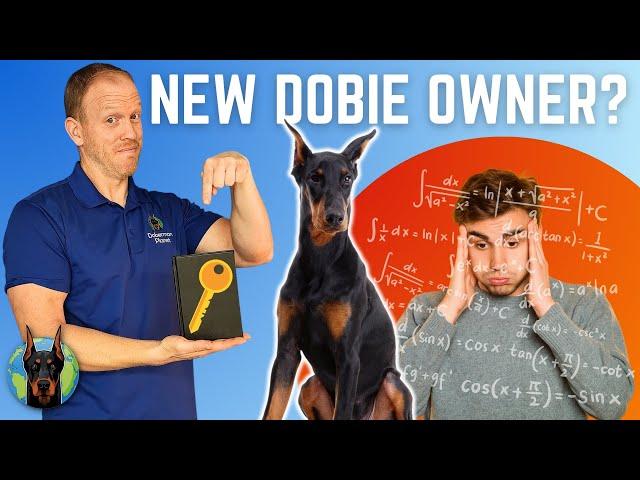 The Key to Doberman Success: 4 Critical Areas You CAN’T Ignore