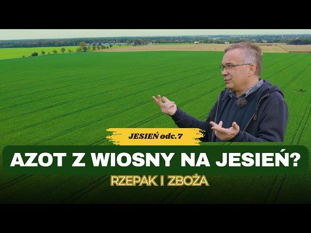 Wiosenna dawka azotu już na jesień?! Zboża i rzepak ozimy - porady prof. Szczepaniaka | e-pole