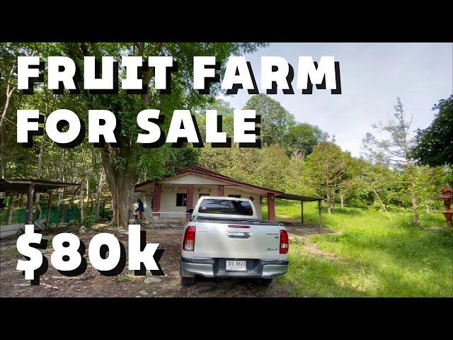 Fruit Farm For Sale - Southern Thailand 