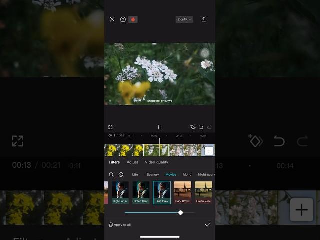 iPhone cinematography + CapCut Color Grading | CapCut Editing Tutorial