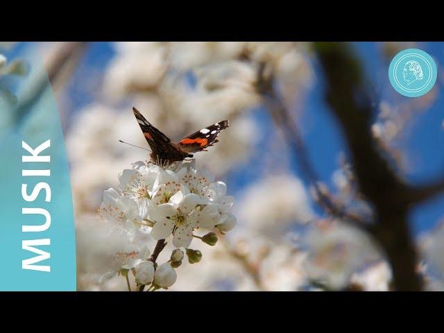 The Four Elements of Nature – music for meditation and nature photographs – by Bruno Gröning friends