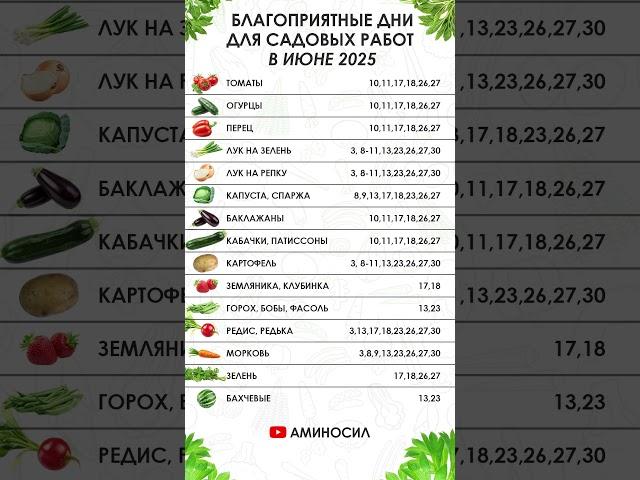 БЛАГОПРИЯТНЫЕ ПОСАДОЧНЫЕ ДНИ В ИЮНЕ 2025 | ПОСЕВНОЙ КАЛЕНДАРЬ НА ИЮНЬ | ЛУННЫЙ ПОСЕВНОЙ КАЛЕНДАРЬ