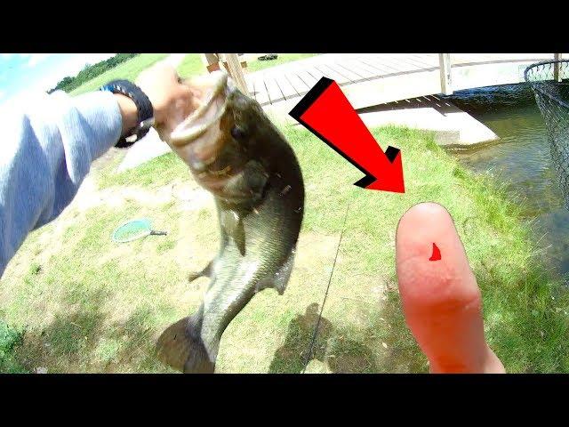 This GIANT Bass DESTROYED My Thumb! - Fishing for More Big Bass