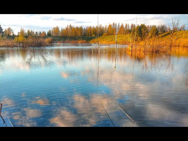 Ловлю КАРАСЕЙ МОНСТРОВ в коряжнике РЫБАЛКА на поплавок Russian fishing