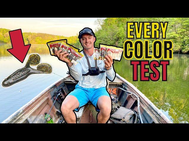 I Bought Every Color Rage Toad Fishing Challenge