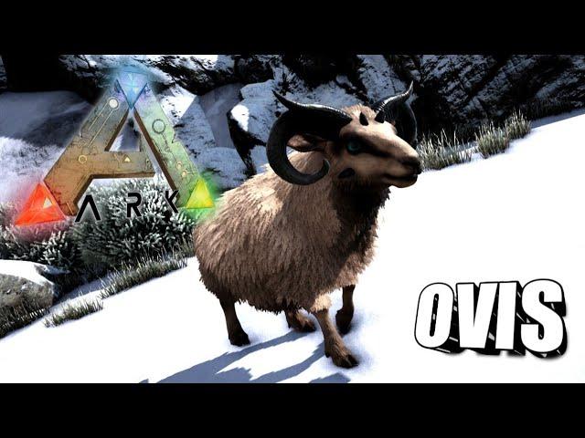 Taming A Ovis | Ark Survival Evolved | The Island