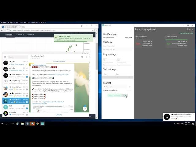 One day trading with jtr bot  bittrex pump and dump bot  0.05 BTC