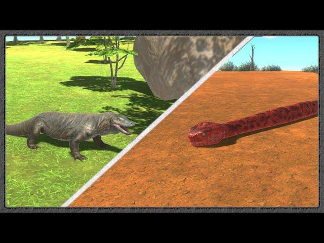 Komodo Dragon Vs. Titanoboa