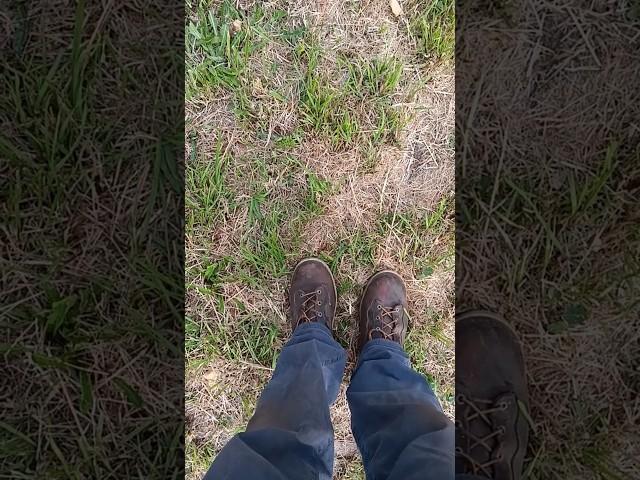 Danner Bull Run Lace To Toe Boot