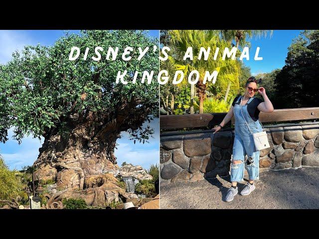 Day at Disney's Animal Kingdom! #disney #animalkingdom #travelvlog