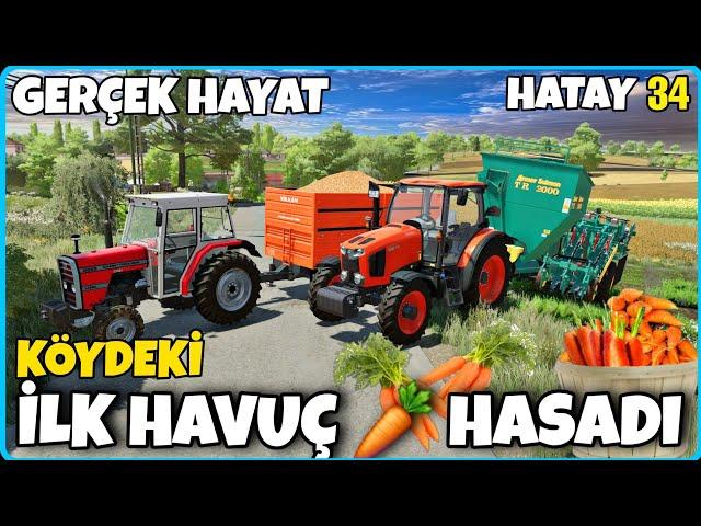 İLK KEZ HAVUÇ HASADI YAPTIK ● HARMAN İŞİNİ BİTİRDİK ● ABDULLAH AMCA İYİ DEĞİL ● FS22 GERÇEK HAYAT