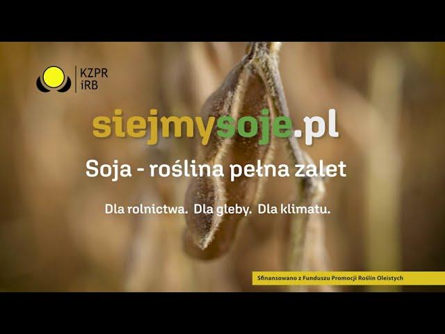 siejmysoje.pl - To się opłaca!