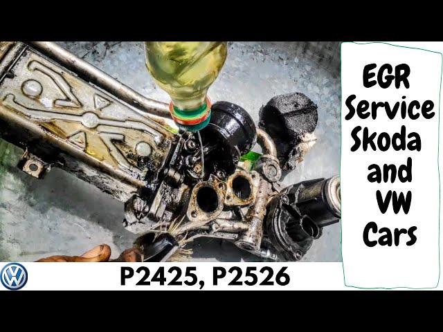 Skoda Rapid EGR Valve Cleaning | VW EGR Removal | P0401, P0403, P046F, P0477, P048C,