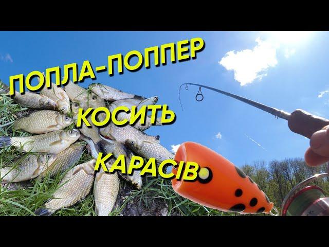 Карась на Ультралайт! Попла-поппер РУЛИТЬ на ЛІСОВОМУ Озері!!!