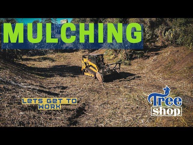 How to Clear Overgrown Land in Ocala Florida with Forestry Mulching-- FAST | Tree Shop