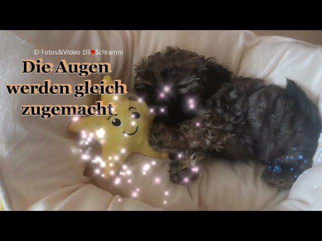 Nelly ‍ muss schlafen gehen und wünscht allen, die sie lieb haben eine gute Nacht